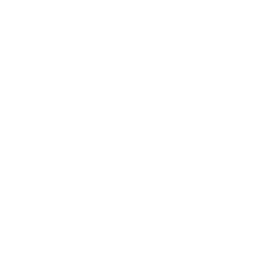 Sentry Safe Logo